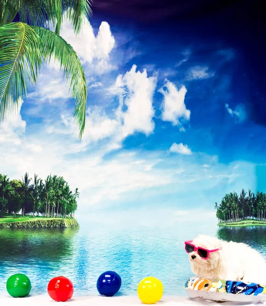 Malta tropik rahatlatıcı