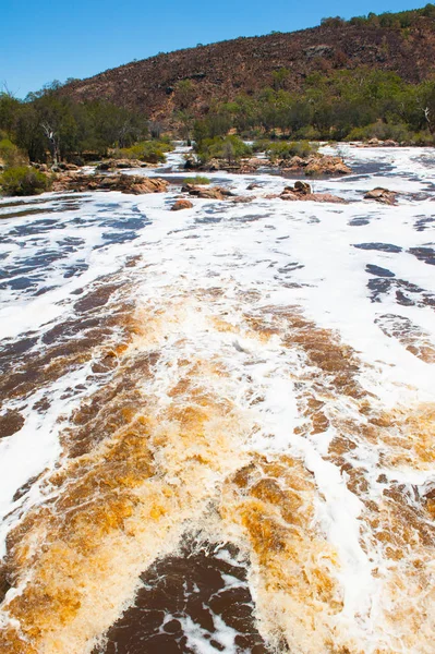 Divoké řeky Swan Austrálie Perth — Stock fotografie
