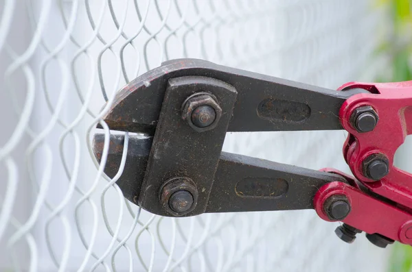 Bolt cutter clipping fence close up — Stock Photo, Image
