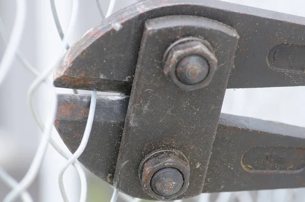 Bolt cropper cutting fence close up — Stock Photo, Image