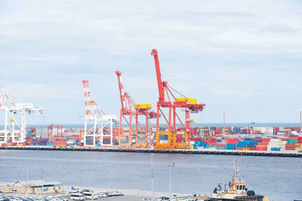 Container cargo e gru Fremantle port Australia — Foto Stock