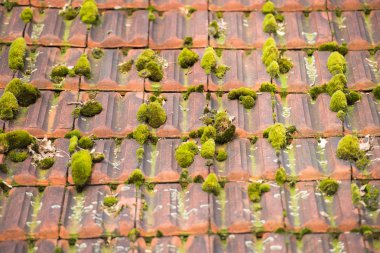 Kırmızı çatı kiremitleri moss ile yıpranmış