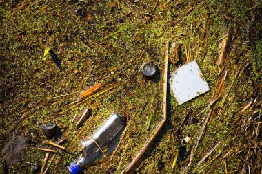 Beyaz köpük pis kirlenmiş göl su üzerinde yüzen