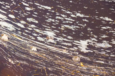 Beyaz köpük pis kirlenmiş göl su üzerinde yüzen