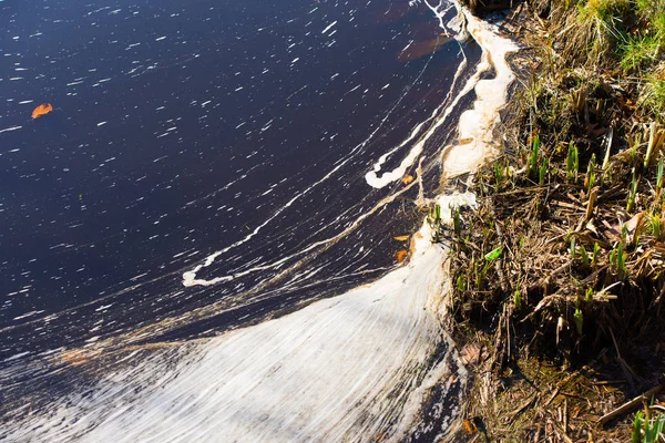 汚い汚染された湖の水に浮かぶ白い泡 — ストック写真