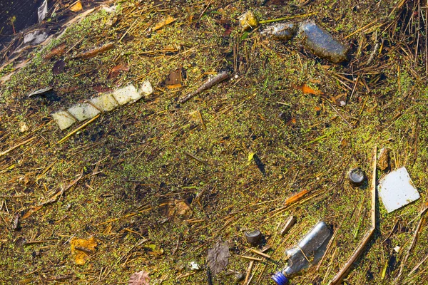 汚い汚染された湖の水に浮かぶ白い泡 — ストック写真