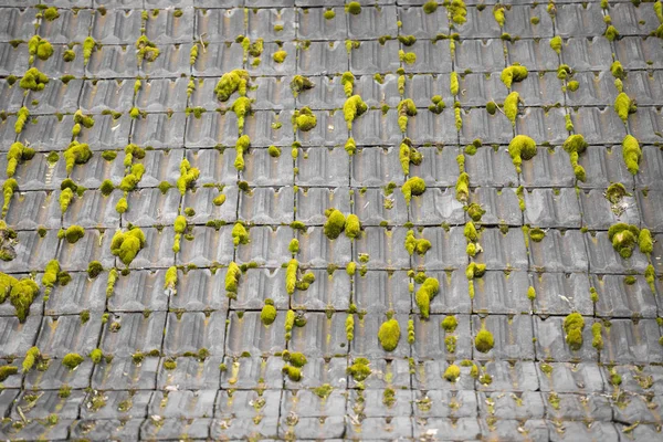 Vieilles tuiles rouges altérées avec mousse — Photo