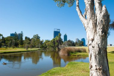 Manzarası Perth Avustralya doğal park lake ile