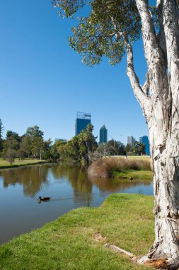 Manzarası Perth Avustralya doğal park lake ile