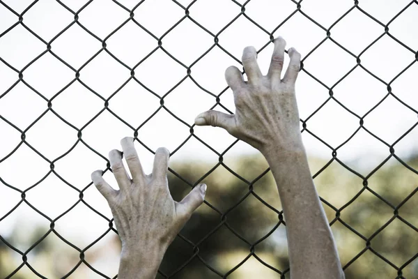 Hands gripped onto prison mesh wire fence