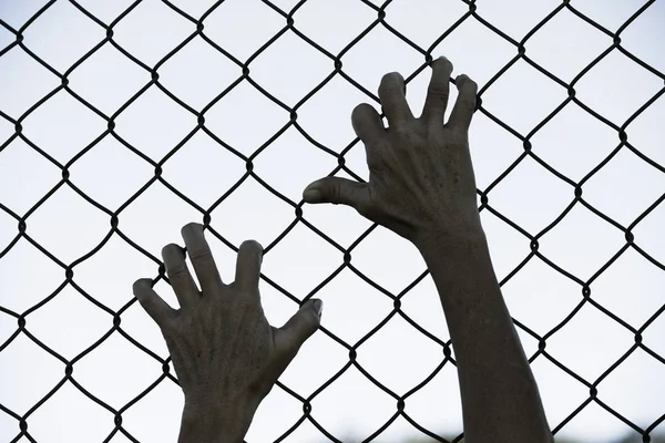 Hands gripped onto prison mesh wire fence