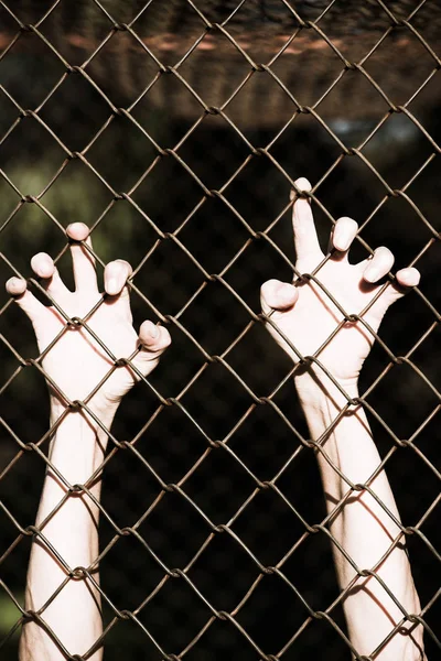 Mãos em aperto desesperado na cerca da prisão — Fotografia de Stock