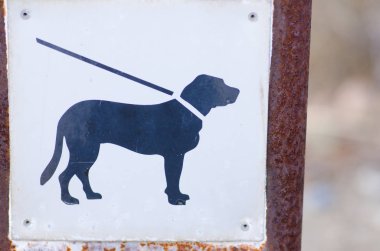 Köpek park açık havada baş işareti