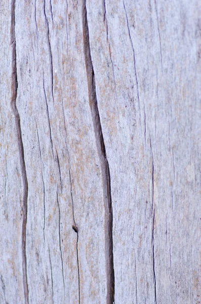 オーストラリアの木の樹皮のパターンやテクスチャを閉じる — ストック写真