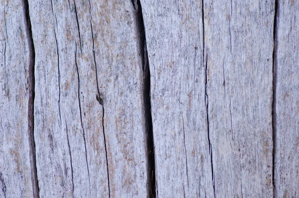 Nahaufnahme australischer Baumrindenmuster und -struktur — Stockfoto