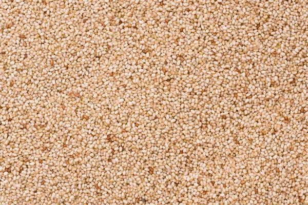 Granos blancos de Teff — Foto de Stock