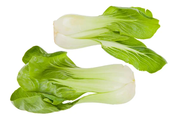 Bok choy zelí — Stock fotografie