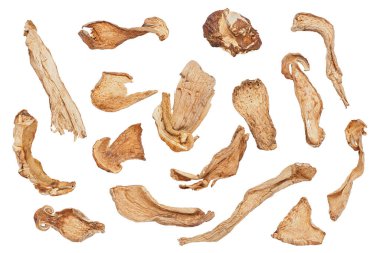 Beyaz arka planda birkaç kurutulmuş Porcini mantarı..