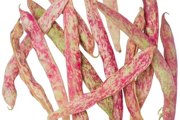 Verschillende Rauwe Hele Cranberry Bonen Ook Bekend Als Borlotti Tegen — Stockfoto