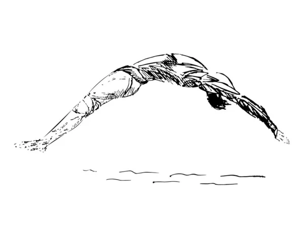 Freestyle Swimmer Black Silhouette. Vetor de nadadores estão nadando na piscina —  Vetores de Stock