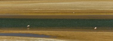 Perulu manzara, Peru