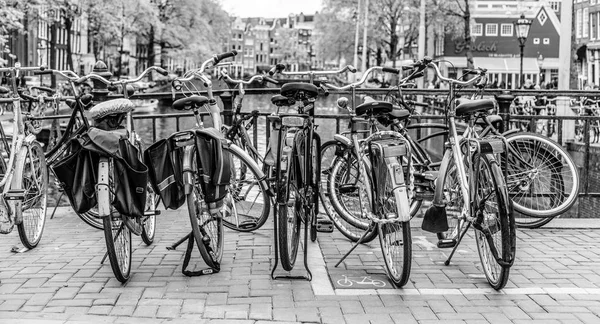 サイクリング アムステルダムの周りを取得する最良の方法の 都市の世界有名な自転車文化を経験することがなく訪問者が残らない — ストック写真