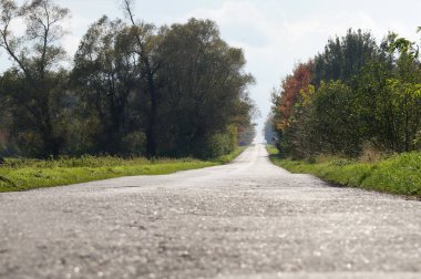 Asfalt, boş ise, köy yolunda ağaçlar ve çalılar arasında