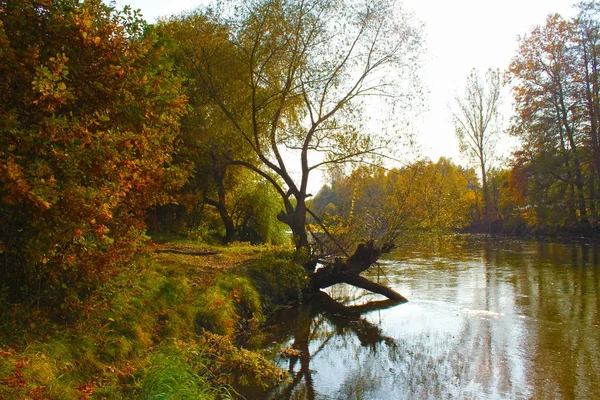 Immagine autunnale, riva del fiume di alberi e arbusti nei colori autunnali — Foto Stock