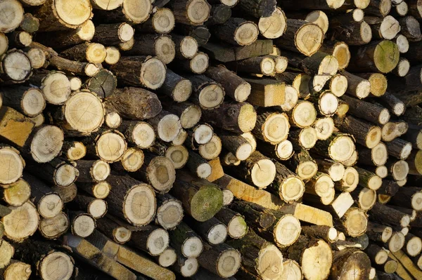 Zusammensetzung des Holzes für die Wintermonate — Stockfoto