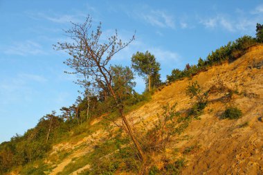 Kumlu sahil dalgalar tarafından tahrip, lehçe manzara