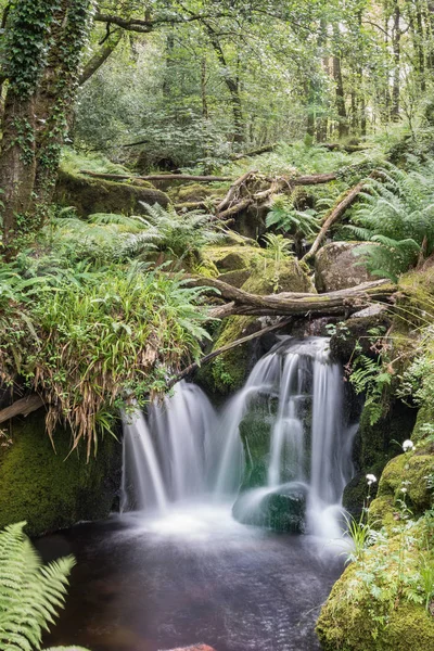 Pequeña Cascada Corazón Del Parque Nacional Dartmoor — Foto de Stock