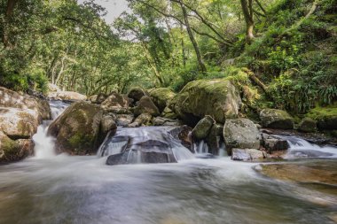 Nehir Plym düşüyor