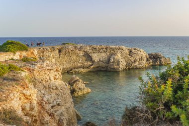 Engebeli sahil şeridi üzerinde atlar