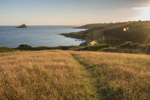 Camino Que Conduce Playa Wembury Devon — Foto de Stock