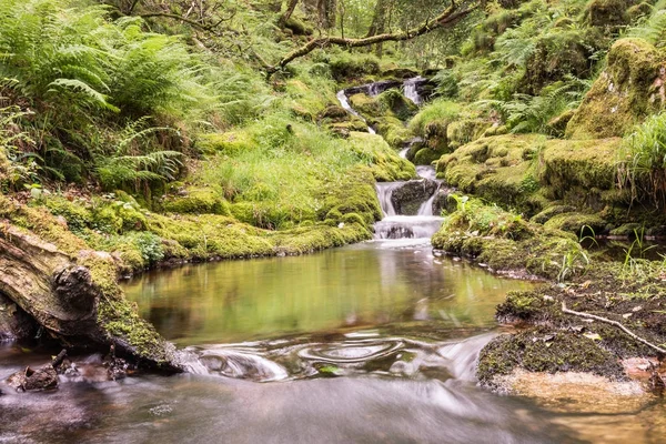 Pequeña Cascada Bosque Del Parque Nacional Dartmoor — Foto de Stock