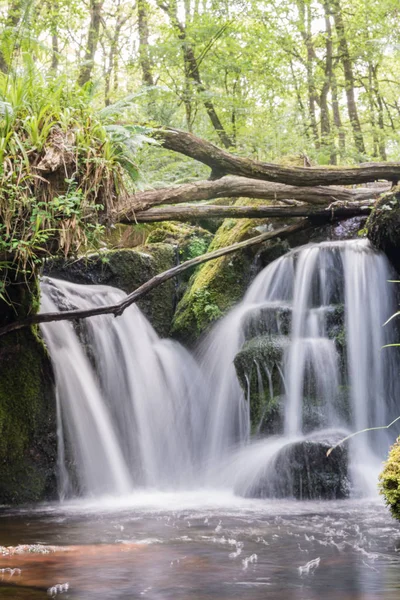 Pequeña Cascada Corazón Del Parque Nacional Dartmoor — Foto de Stock