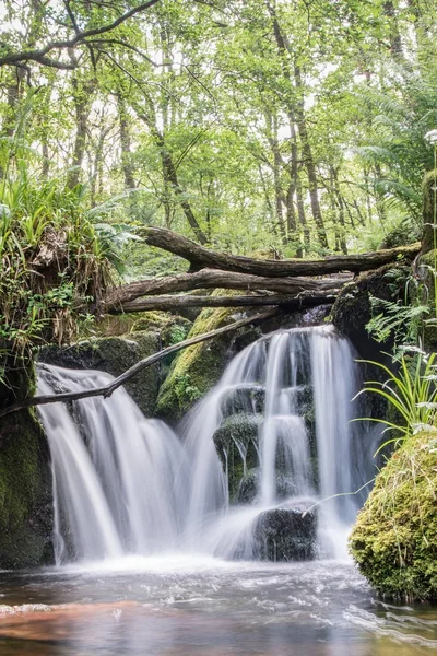 Pequeña Cascada Corazón Del Parque Nacional Dartmoor — Foto de Stock