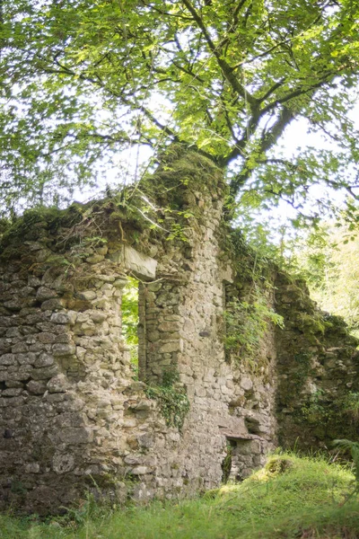 Dartmoor Farmhouse — Stock Photo, Image