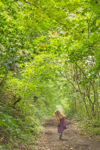 Chica explorando el bosque — Foto de Stock
