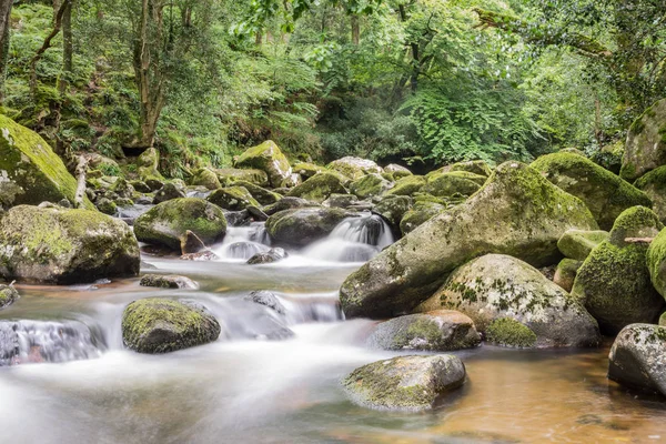 Río Brumoso Que Fluye Través Del Bosque Dartmoor — Foto de Stock