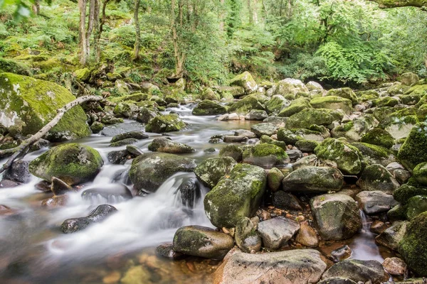 Río Serpenteante Corazón Del Parque Nacional Dartmoor — Foto de Stock