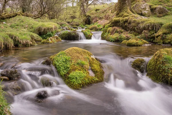 Corriente Dartmoor serpenteante — Foto de Stock