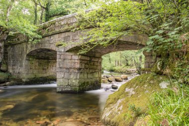 İki Yataklı kemer duvar kemer köprü Dartmoor Milli Parkı'nda. 
