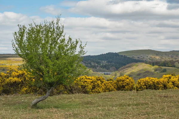 Dartmoor paisaje — Foto de Stock