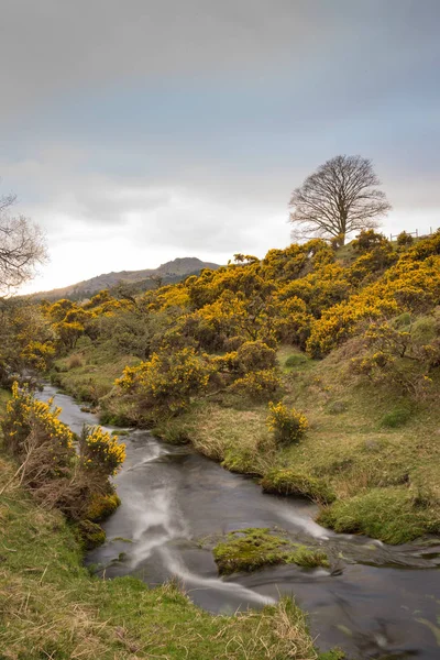 Pequeño arroyo Dartmoor — Foto de Stock