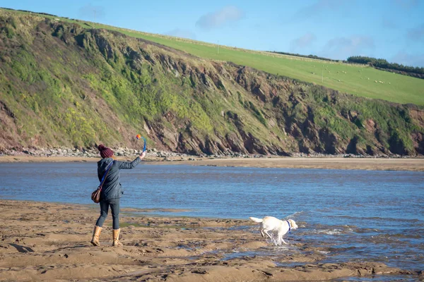 Περιπατητής θηλυκό σκύλο στην παραλία — Φωτογραφία Αρχείου