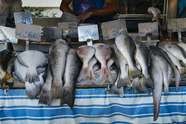 Mercado de peixe em Ipanema, Rio de Janeiro — Fotografia de Stock
