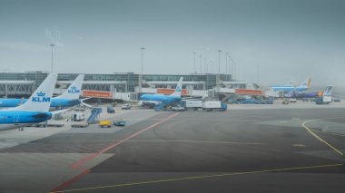Amsterdam Schiphol Havaalanı'nda asfalt uçaklarda KLM