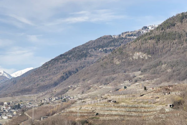 Виноградники, окружающие итальянский город Сондрио — стоковое фото