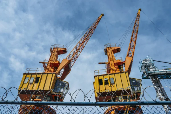 Enormes grúas en un puerto, concepto logístico más allá de las púas de seguridad —  Fotos de Stock